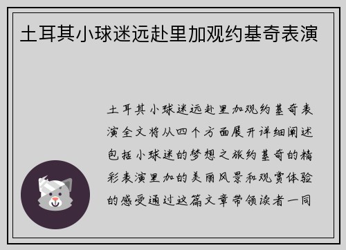 土耳其小球迷远赴里加观约基奇表演